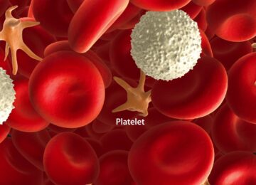 Platelet Count